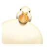 :11e76cce4bed4537887b3b2cab423242: